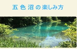 大野さん