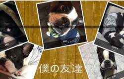 孝枝さん