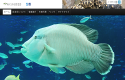 迫田さん