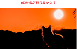 尾田川さん