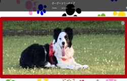 蔦さん