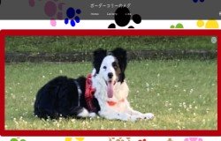 蔦さん