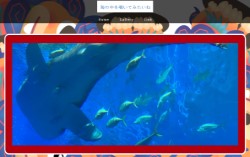 美ら海水族館