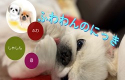 岸下