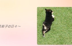 7005