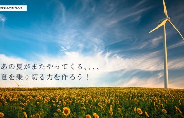 7805